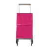 Rolser Carro de Compras PLEGAMATIC Desmontável 2R 40L Liso Bassi | Ref. 253.040063