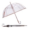 Guarda-Chuva de Senhora Benzi Manual 8V Transparente c/ Castanho | Ref. 288.PA60C