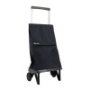 Rolser Carro de Compras PLEGAMATIC Desmontável 2R 40L Marengo | Ref. 253.916535