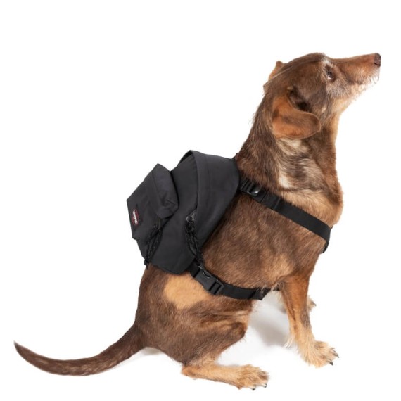 Mochila para Cão Eastpak DOG PAK’ R Black | Ref. 267.BEO008