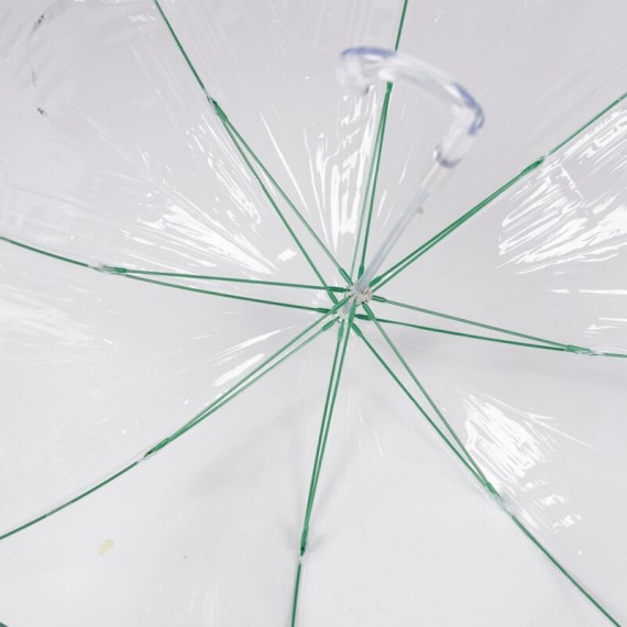 Guarda-Chuva Sra. Comprido Man. 62/8 EZPELETA Transparente Verde | Ref. 104.10764VE