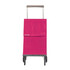 Rolser Carro de Compras PLEGAMATIC Desmontável 2R 40L Liso Bassi | Ref. 253.040063