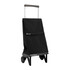 Rolser Carro de Compras PLEGAMATIC Desmontável Liso 2R 40L Preto | Ref. 253.040094