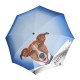 Guarda-Chuva Dobrável Mini Abre/Fecha Doppler Art Daily Dog | Ref. 300.74615717