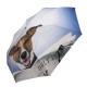 Guarda-Chuva Dobrável Mini Abre/Fecha Doppler Art Daily Dog | Ref. 300.74615717