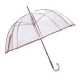 Guarda-Chuva de Senhora Benzi Manual 8V Transparente c/ Castanho | Ref. 288.PA60C