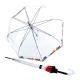 Guarda-Chuva KNRIPS Comprido C.760 Stick Manual Transparente Pride | Ref. 300.9687608609